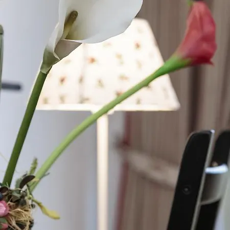 La Dimora Di Odisseo Bed & Breakfast